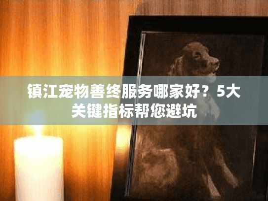 镇江宠物善终服务哪家好？5大关键指标帮您避坑
