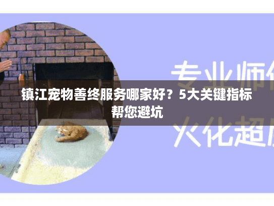 镇江宠物善终服务哪家好？5大关键指标帮您避坑