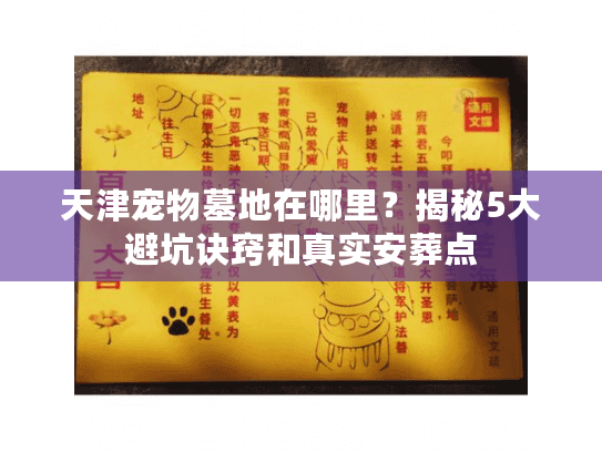 天津宠物墓地在哪里？揭秘5大避坑诀窍和真实安葬点