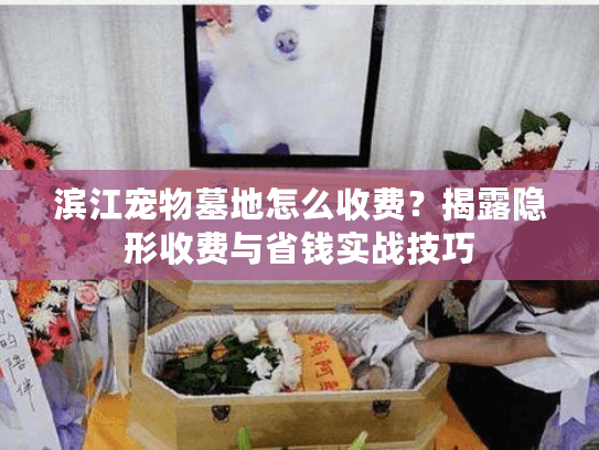 滨江宠物墓地怎么收费？揭露隐形收费与省钱实战技巧