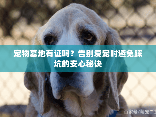 宠物墓地有证吗？告别爱宠时避免踩坑的安心秘诀