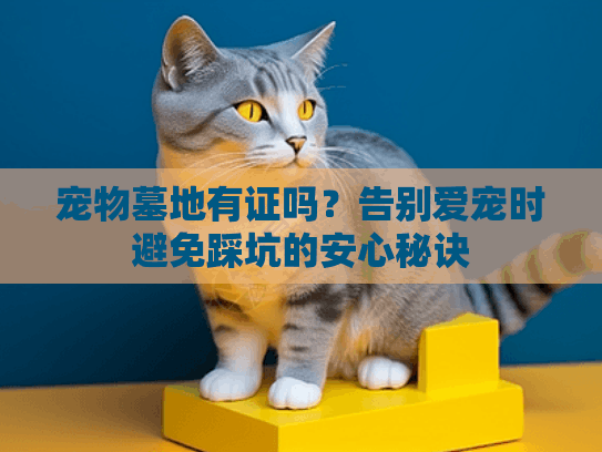 宠物墓地有证吗？告别爱宠时避免踩坑的安心秘诀