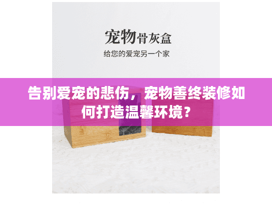 告别爱宠的悲伤，宠物善终装修如何打造温馨环境？