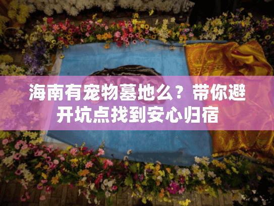 海南有宠物墓地么？带你避开坑点找到安心归宿