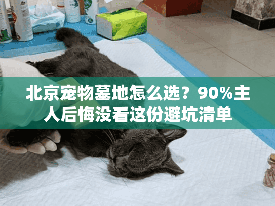 北京宠物墓地怎么选？90%主人后悔没看这份避坑清单