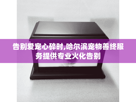 告别爱宠心碎时,哈尔滨宠物善终服务提供专业火化告别