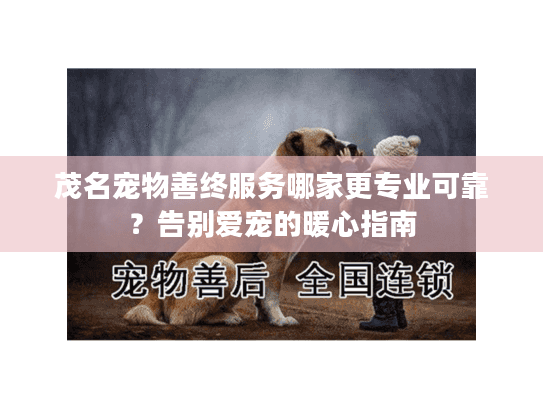 茂名宠物善终服务哪家更专业可靠？告别爱宠的暖心指南