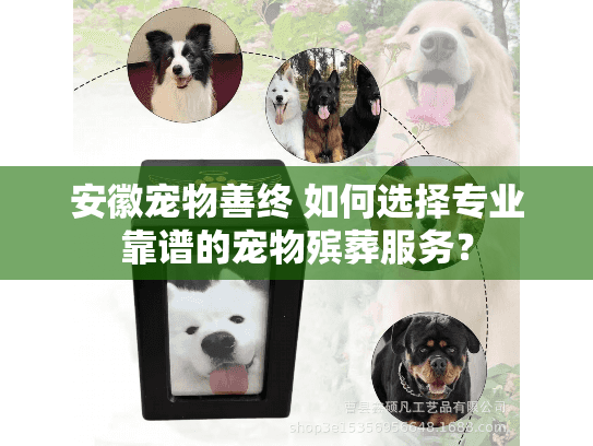 安徽宠物善终 如何选择专业靠谱的宠物殡葬服务？