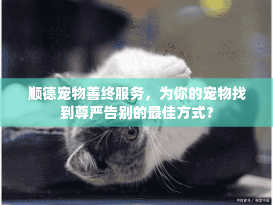 顺德宠物善终服务，为你的宠物找到尊严告别的最佳方式？