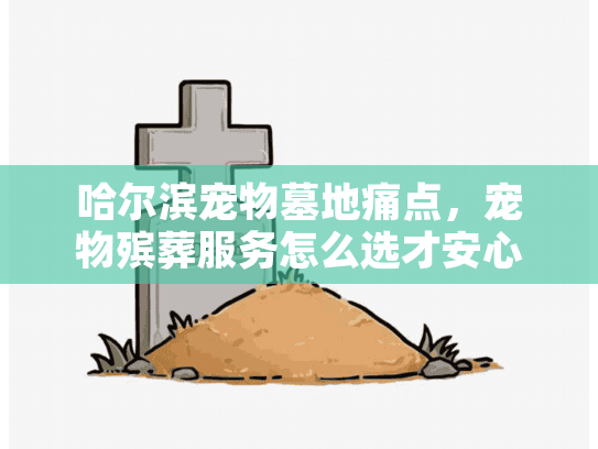 哈尔滨宠物墓地痛点,宠物殡葬服务怎么选才安心? 哈尔滨宠物墓地痛点,宠物殡葬服务怎么选才安心?