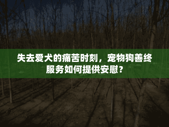 失去爱犬的痛苦时刻，宠物狗善终服务如何提供安慰？