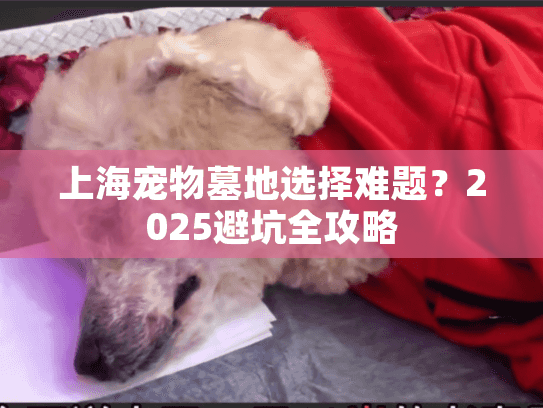 上海宠物墓地选择难题？2025避坑全攻略