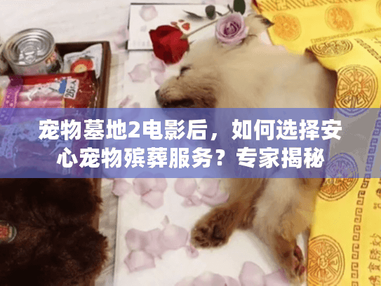 宠物墓地2电影后，如何选择安心宠物殡葬服务？专家揭秘