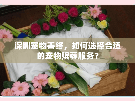 深圳宠物善终，如何选择合适的宠物殡葬服务？
