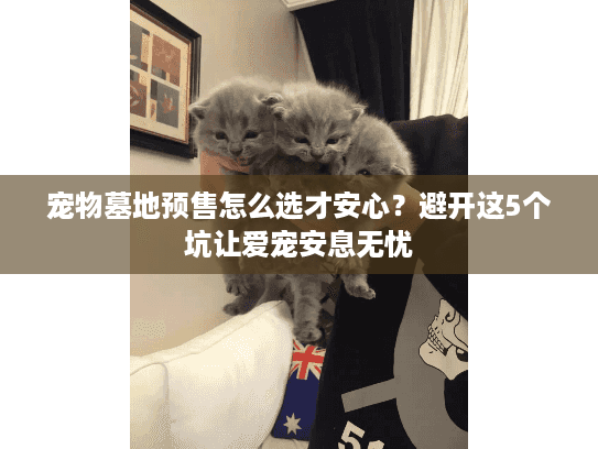 宠物墓地预售怎么选才安心？避开这5个坑让爱宠安息无忧