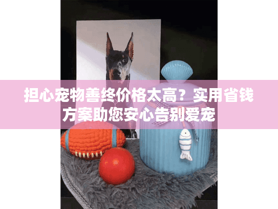 担心宠物善终价格太高？实用省钱方案助您安心告别爱宠