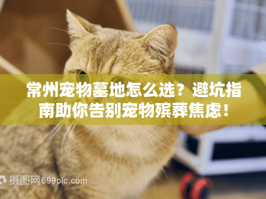常州宠物墓地怎么选？避坑指南助你告别宠物殡葬焦虑！