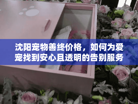 沈阳宠物善终价格，如何为爱宠找到安心且透明的告别服务？