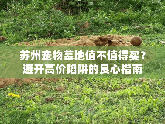 苏州宠物墓地值不值得买？避开高价陷阱的良心指南