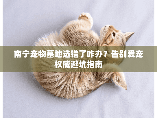 南宁宠物墓地选错了咋办？告别爱宠权威避坑指南