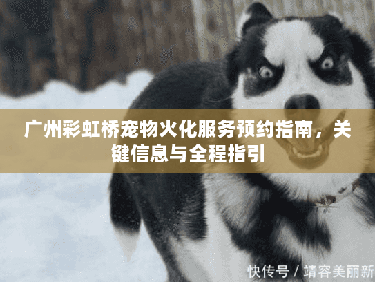 广州彩虹桥宠物火化服务预约指南，关键信息与全程指引