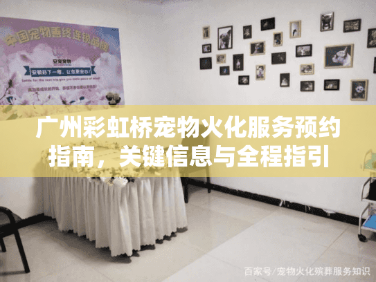 广州彩虹桥宠物火化服务预约指南，关键信息与全程指引