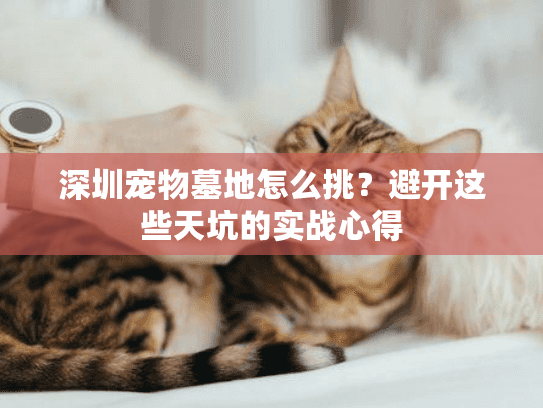 深圳宠物墓地怎么挑？避开这些天坑的实战心得