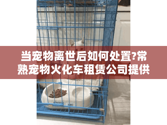 当宠物离世后如何处置?常熟宠物火化车租赁公司提供专业解决方案