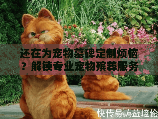 还在为宠物墓碑定制烦恼？解锁专业宠物殡葬服务选择秘籍