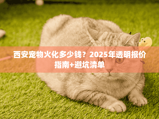 西安宠物火化多少钱？2025年透明报价指南+避坑清单