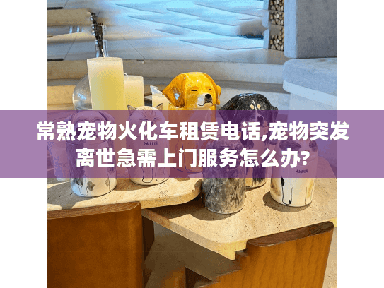 常熟宠物火化车租赁电话,宠物突发离世急需上门服务怎么办?