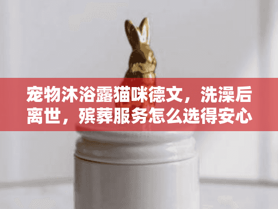 宠物沐浴露猫咪德文，洗澡后离世，殡葬服务怎么选得安心？