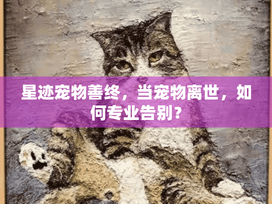 星迹宠物善终，当宠物离世，如何专业告别？