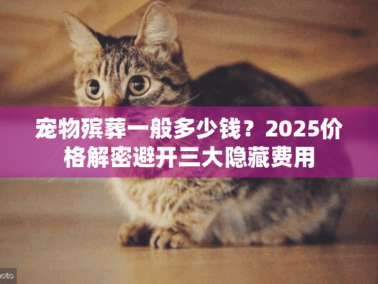 宠物殡葬一般多少钱？2025价格解密避开三大隐藏费用