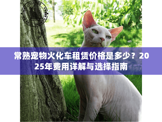 常熟宠物火化车租赁价格是多少？2025年费用详解与选择指南