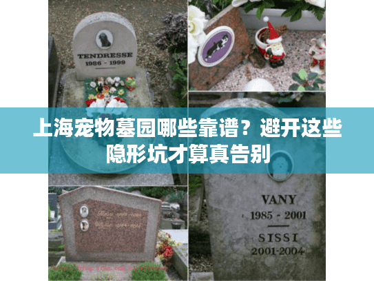 上海宠物墓园哪些靠谱？避开这些隐形坑才算真告别