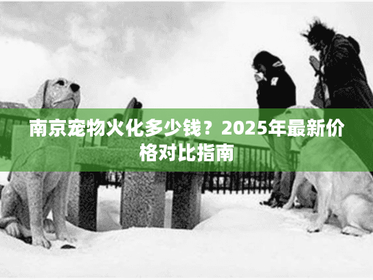 南京宠物火化多少钱？2025年最新价格对比指南
