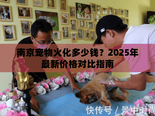 南京宠物火化多少钱？2025年最新价格对比指南