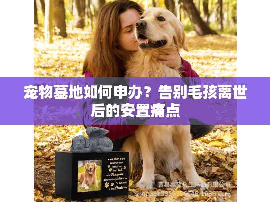 宠物墓地如何申办？告别毛孩离世后的安置痛点
