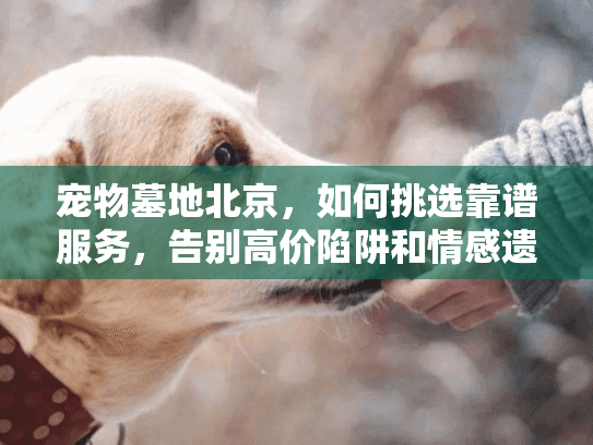 宠物墓地北京，如何挑选靠谱服务，告别高价陷阱和情感遗憾？