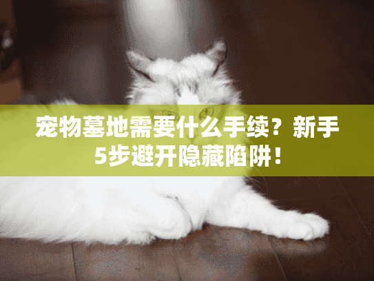 宠物墓地需要什么手续？新手5步避开隐藏陷阱！