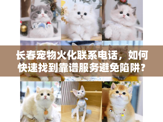 长春宠物火化联系电话，如何快速找到靠谱服务避免陷阱？