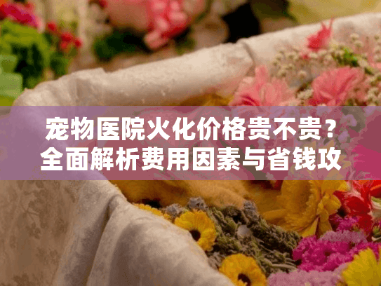 宠物医院火化价格贵不贵？全面解析费用因素与省钱攻略