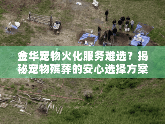 金华宠物火化服务难选？揭秘宠物殡葬的安心选择方案