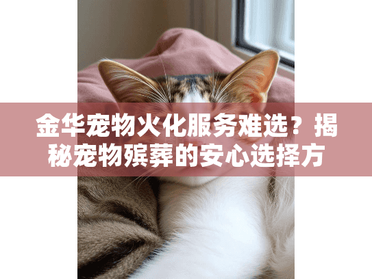 金华宠物火化服务难选？揭秘宠物殡葬的安心选择方案
