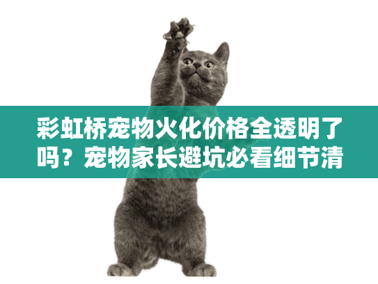 彩虹桥宠物火化价格全透明了吗？宠物家长避坑必看细节清单