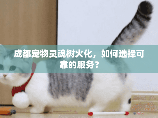 成都宠物灵魂树火化，如何选择可靠的服务？