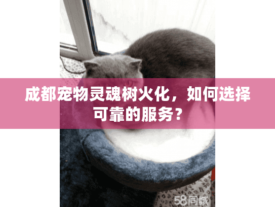 成都宠物灵魂树火化，如何选择可靠的服务？
