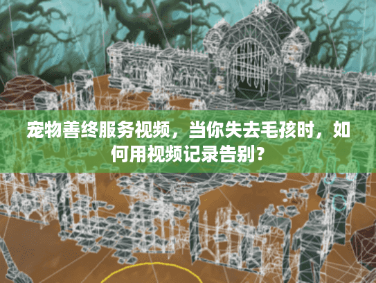 宠物善终服务视频，当你失去毛孩时，如何用视频记录告别？