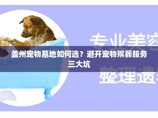 盖州宠物墓地如何选?避开宠物殡葬服务三大坑 盖州宠物墓地如何选?避开宠物殡葬服务三大坑